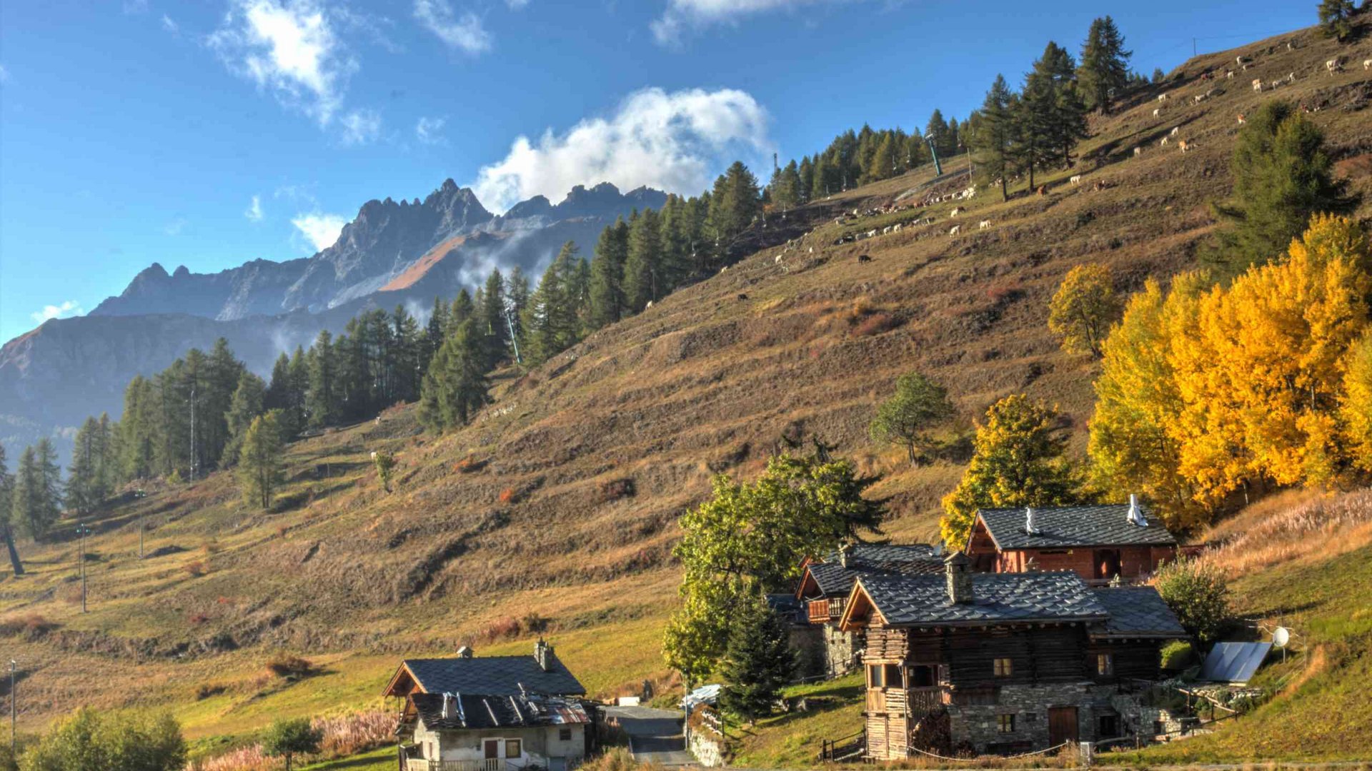 Pictures of gentle eco-tourism in the Alps