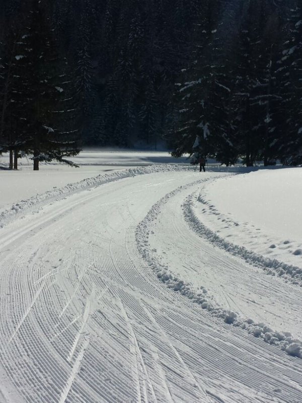 Ceresole Reale – im Reich des Steinbocks