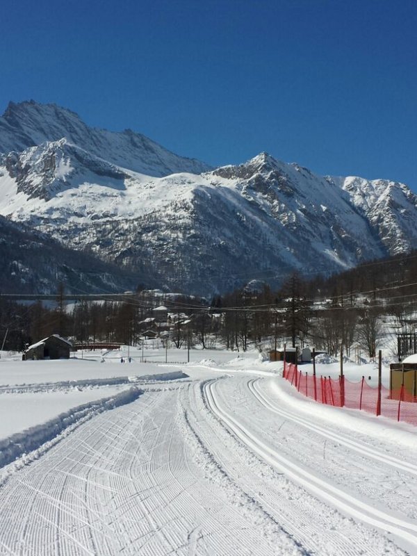 Ceresole Reale – the kingdom of the ibex