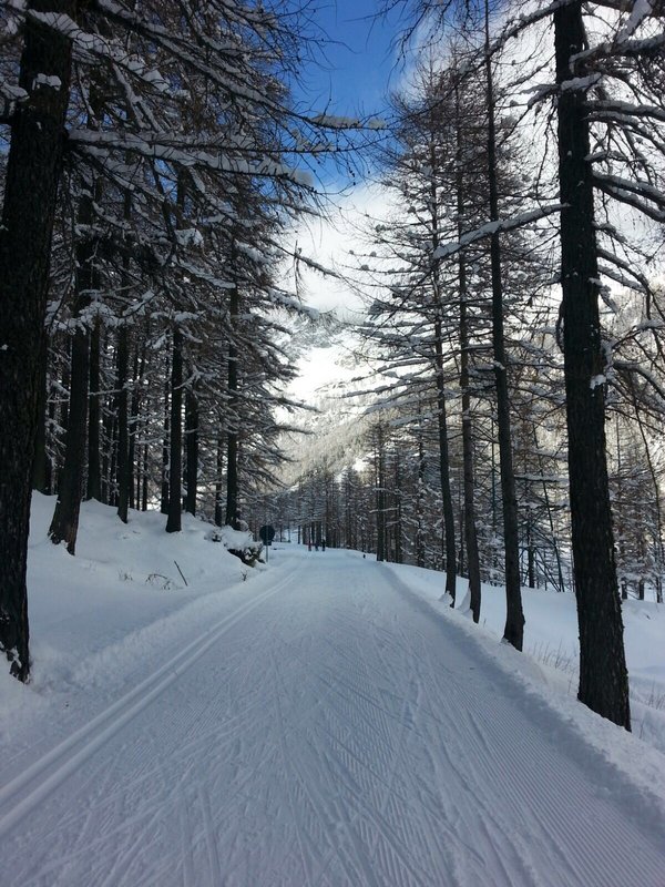 Ceresole Reale – the kingdom of the ibex