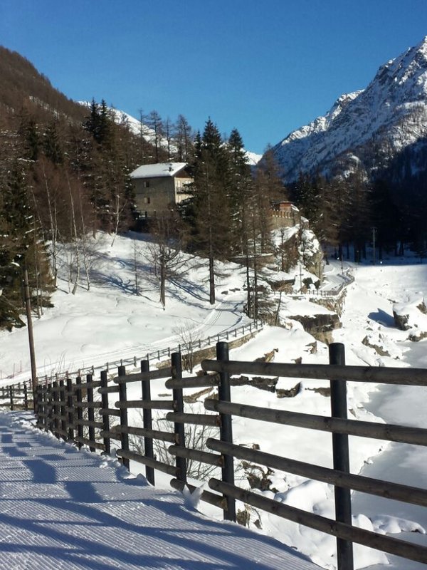 Ceresole Reale – the kingdom of the ibex