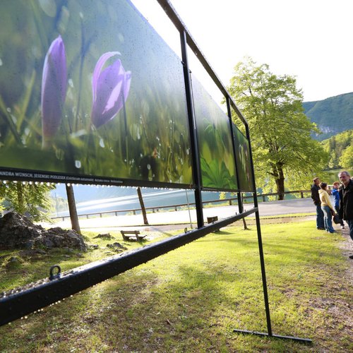 Alpine Pearls – autofreier Urlaub in den Alpen Alpine Pearls – autofreier Urlaub in den Alpen