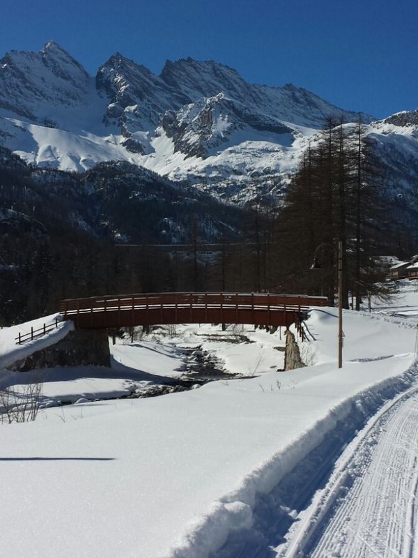 Ceresole Reale – im Reich des Steinbocks