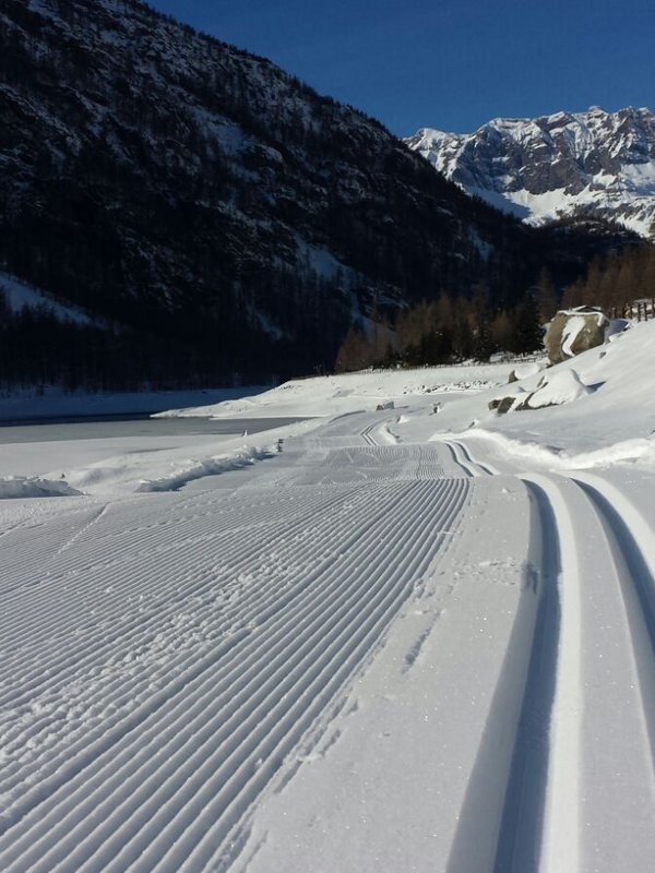 Ceresole Reale – im Reich des Steinbocks